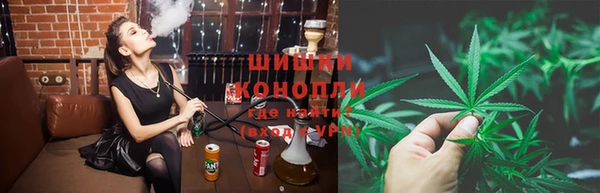 прущие грибы Абдулино